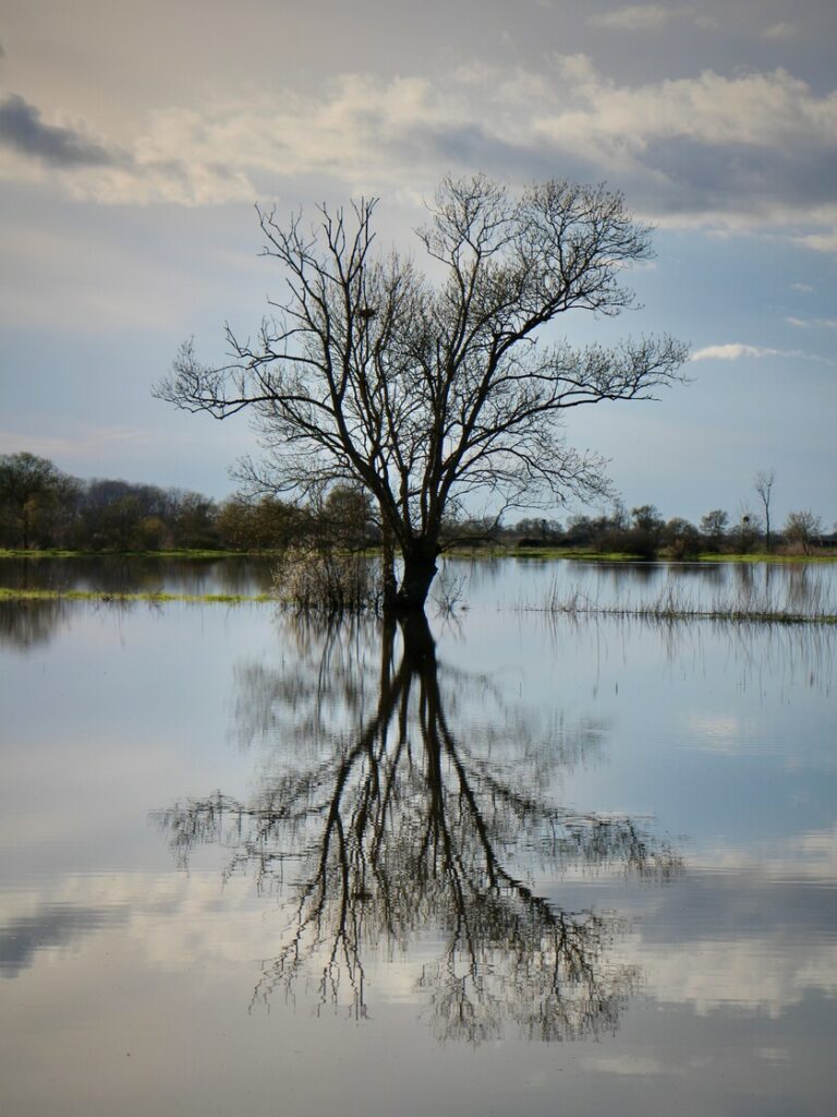 Les pieds dans l’eau