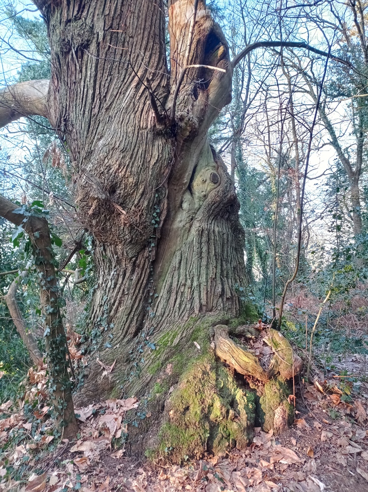 Stature de bois